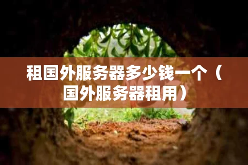 租国外服务器多少钱一个（国外服务器租用）