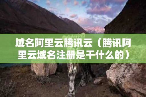 域名阿里云腾讯云（腾讯阿里云域名注册是干什么的）