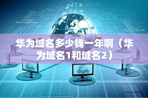 华为域名多少钱一年啊（华为域名1和域名2）
