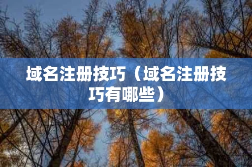域名注册技巧（域名注册技巧有哪些）