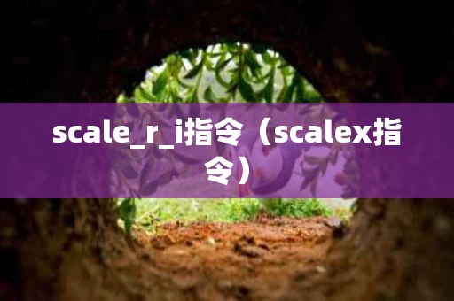 scale_r_i指令（scalex指令）