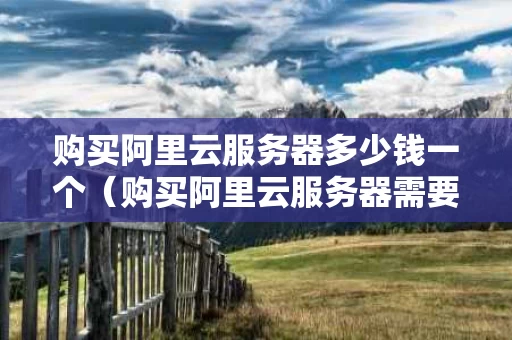 购买阿里云服务器多少钱一个（购买阿里云服务器需要什么材料）