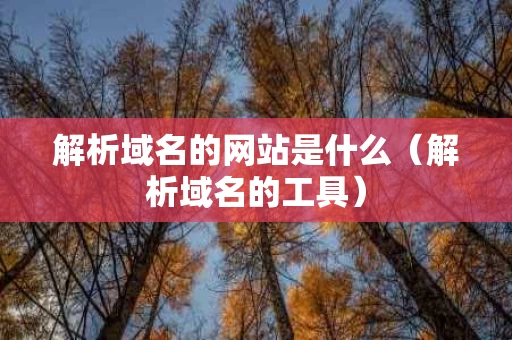 解析域名的网站是什么（解析域名的工具）