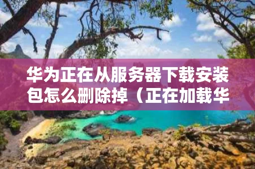 华为正在从服务器下载安装包怎么删除掉（正在加载华为移动服务）