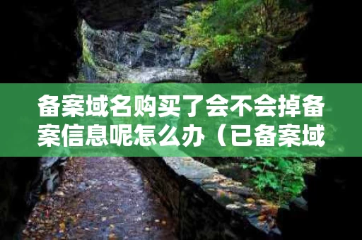 备案域名购买了会不会掉备案信息呢怎么办（已备案域名购买安全吗）