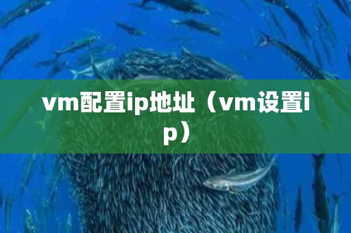 vm配置ip地址（vm设置ip）