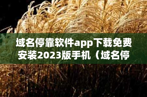 域名停靠软件app下载免费安装2023版手机（域名停靠软件app下载免费安装2023版手机）