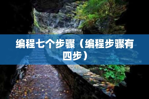 编程七个步骤（编程步骤有四步）