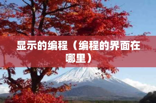 显示的编程（编程的界面在哪里）