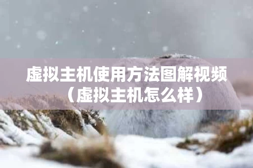 虚拟主机使用方法图解视频（虚拟主机怎么样）