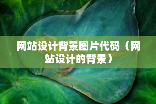 网站设计背景图片代码（网站设计的背景）