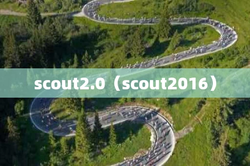 scout2.0（scout2016）