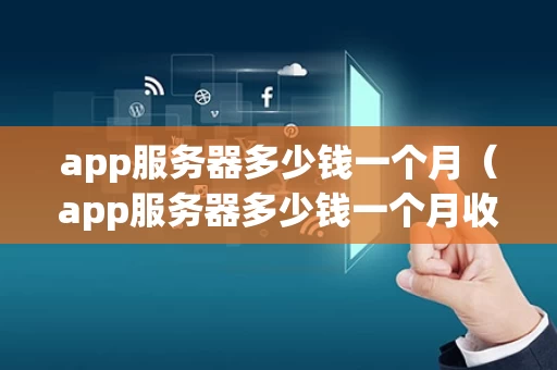 app服务器多少钱一个月（app服务器多少钱一个月收费）