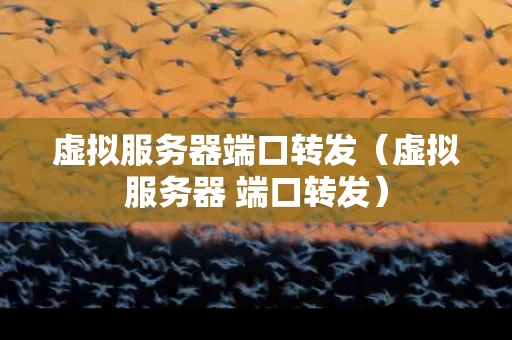 虚拟服务器端口转发（虚拟服务器 端口转发）