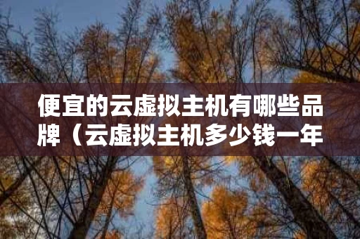 便宜的云虚拟主机有哪些品牌（云虚拟主机多少钱一年）