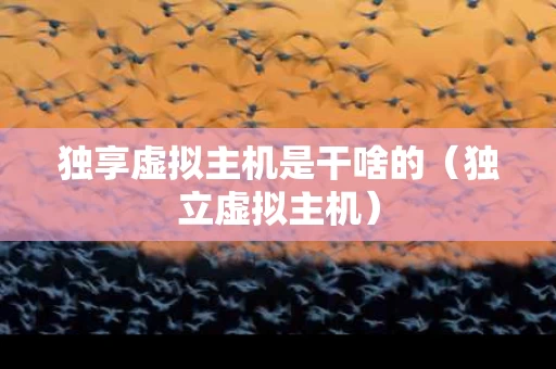 独享虚拟主机是干啥的（独立虚拟主机）