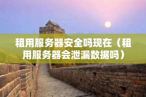 租用服务器安全吗现在（租用服务器会泄漏数据吗）