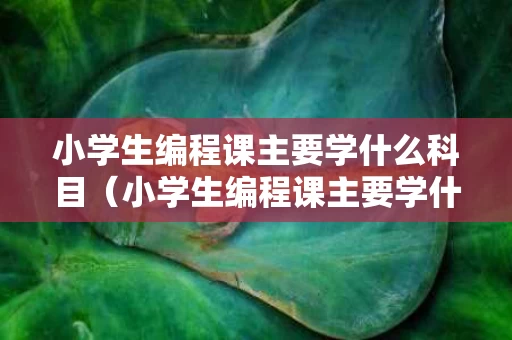小学生编程课主要学什么科目（小学生编程课主要学什么科目内容）