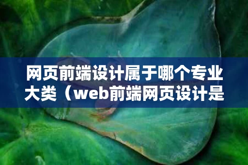 网页前端设计属于哪个专业大类（web前端网页设计是什么）