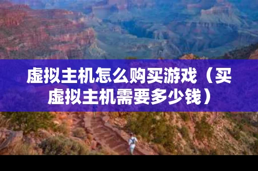 虚拟主机怎么购买游戏（买虚拟主机需要多少钱）