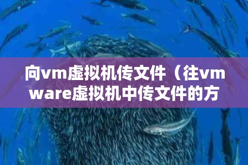 向vm虚拟机传文件（往vmware虚拟机中传文件的方法）