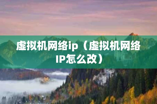 虚拟机网络ip（虚拟机网络IP怎么改）
