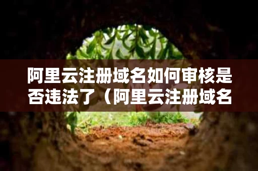 阿里云注册域名如何审核是否违法了（阿里云注册域名如何审核是否违法了呢）