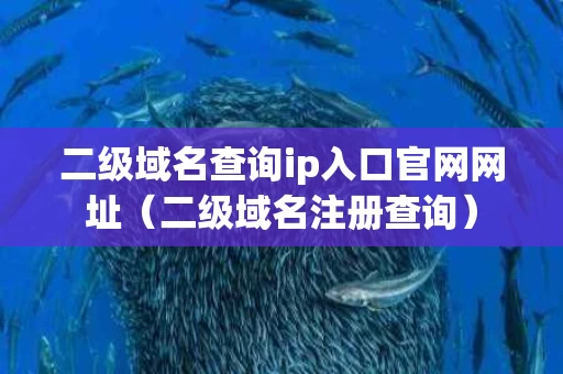 二级域名查询ip入口官网网址（二级域名注册查询）