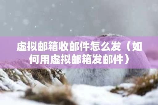 虚拟邮箱收邮件怎么发（如何用虚拟邮箱发邮件）