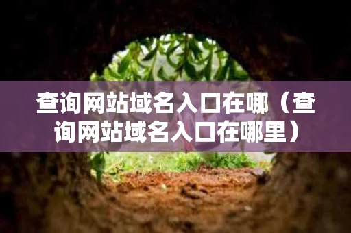 查询网站域名入口在哪（查询网站域名入口在哪里）