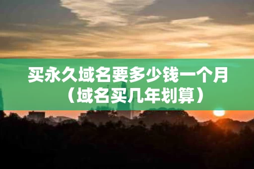 买永久域名要多少钱一个月（域名买几年划算）