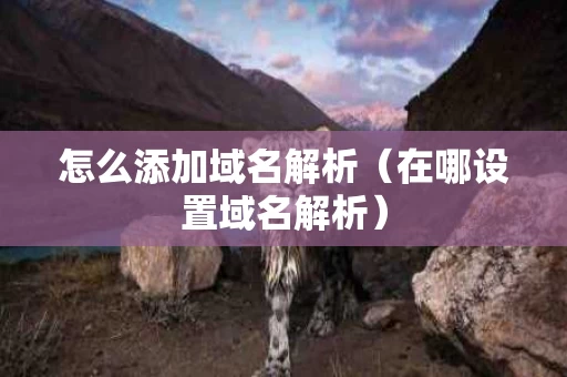 怎么添加域名解析（在哪设置域名解析）