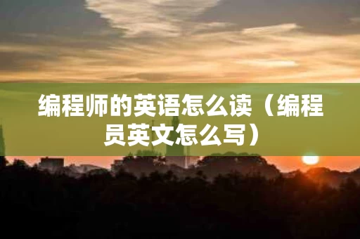编程师的英语怎么读（编程员英文怎么写）