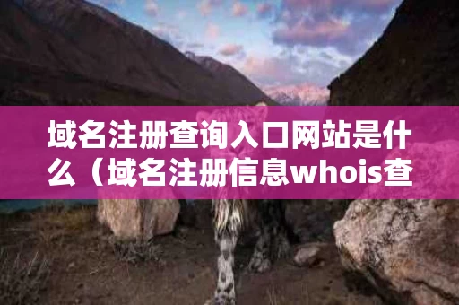 域名注册查询入口网站是什么（域名注册信息whois查询）
