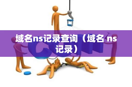 域名ns记录查询（域名 ns记录）