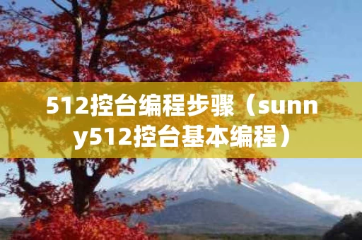 512控台编程步骤（sunny512控台基本编程）