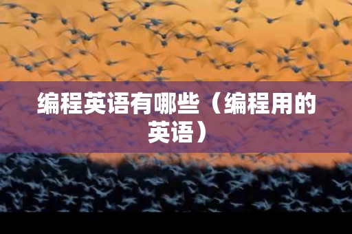 编程英语有哪些（编程用的英语）