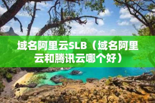 域名阿里云SLB（域名阿里云和腾讯云哪个好）