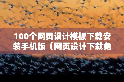 100个网页设计模板下载安装手机版（网页设计下载免费）