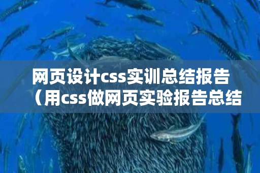 网页设计css实训总结报告（用css做网页实验报告总结）