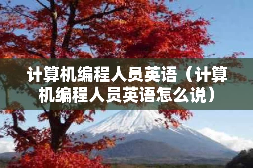 计算机编程人员英语（计算机编程人员英语怎么说）