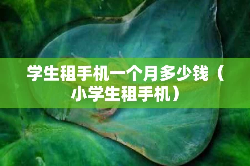 学生租手机一个月多少钱（小学生租手机）