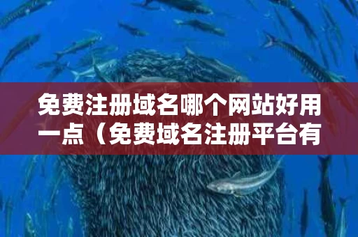 免费注册域名哪个网站好用一点（免费域名注册平台有哪些）
