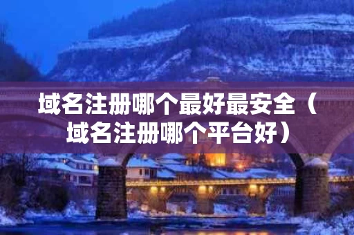 域名注册哪个最好最安全（域名注册哪个平台好）