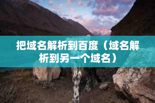 把域名解析到百度（域名解析到另一个域名）