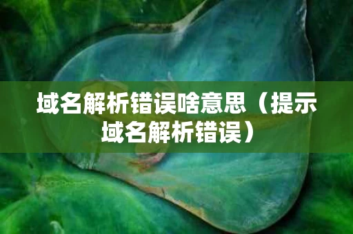 域名解析错误啥意思（提示域名解析错误）
