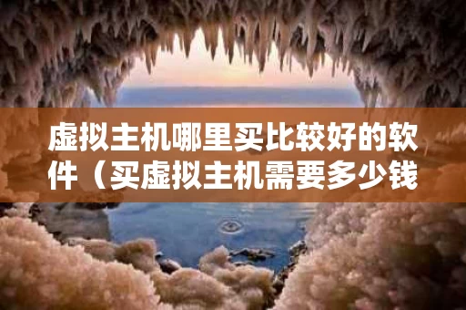 虚拟主机哪里买比较好的软件（买虚拟主机需要多少钱）