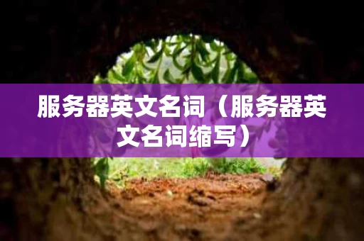 服务器英文名词（服务器英文名词缩写）