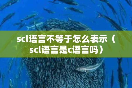 scl语言不等于怎么表示（scl语言是c语言吗）