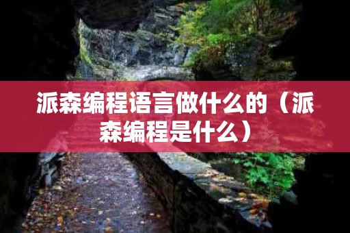 派森编程语言做什么的（派森编程是什么）